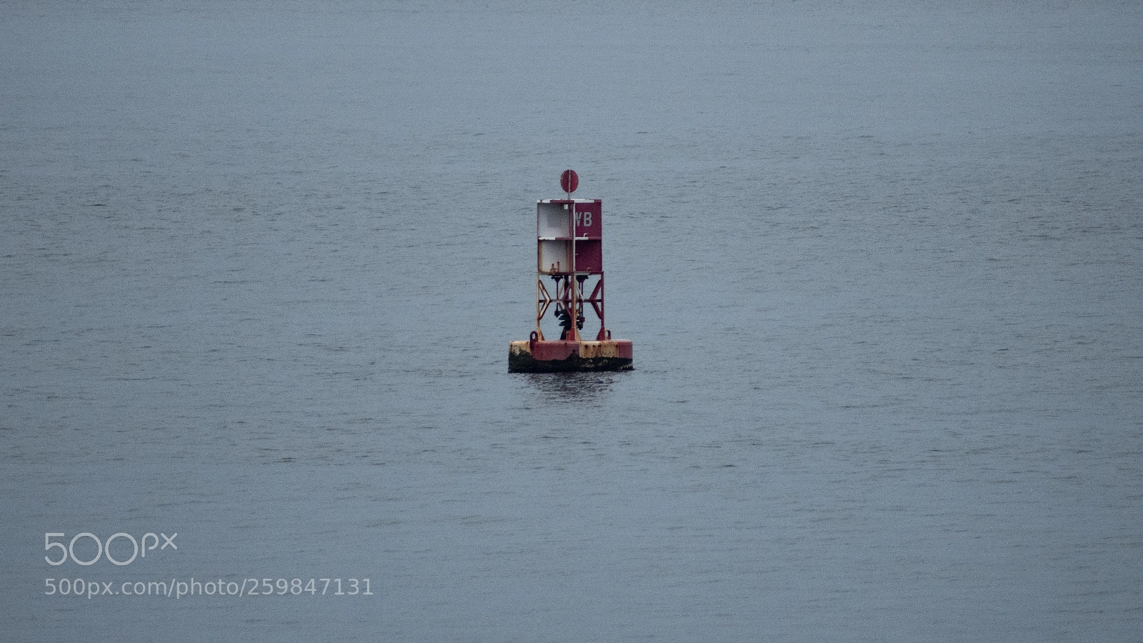 Nikon D3400 sample photo. Buoy photography