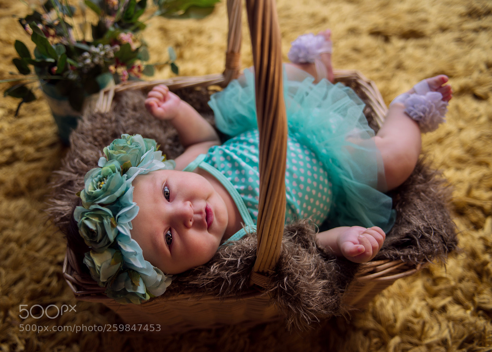 Nikon D610 sample photo. Zion 2 meses photography