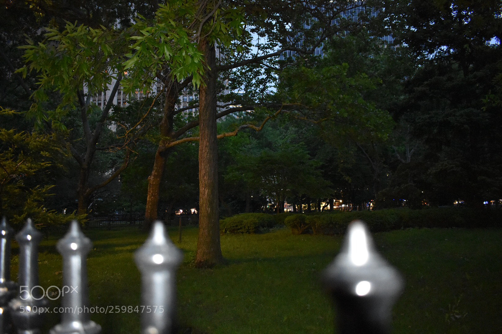 Nikon D3400 sample photo. Untitled photography