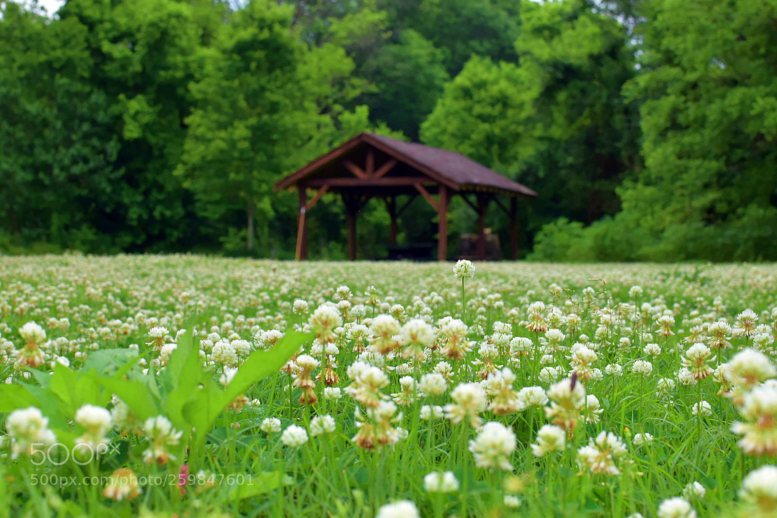 Nikon D5300 sample photo. A quiet place out photography