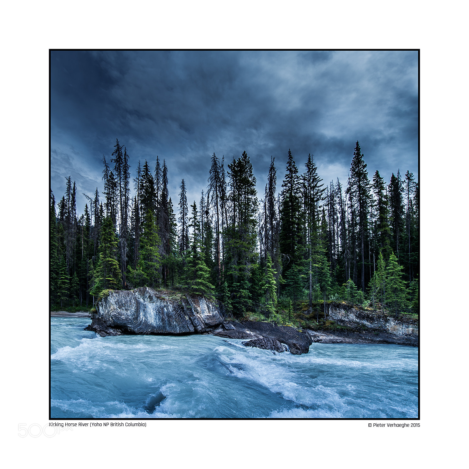 Nikon D4 sample photo. Kicking horse river yoho photography