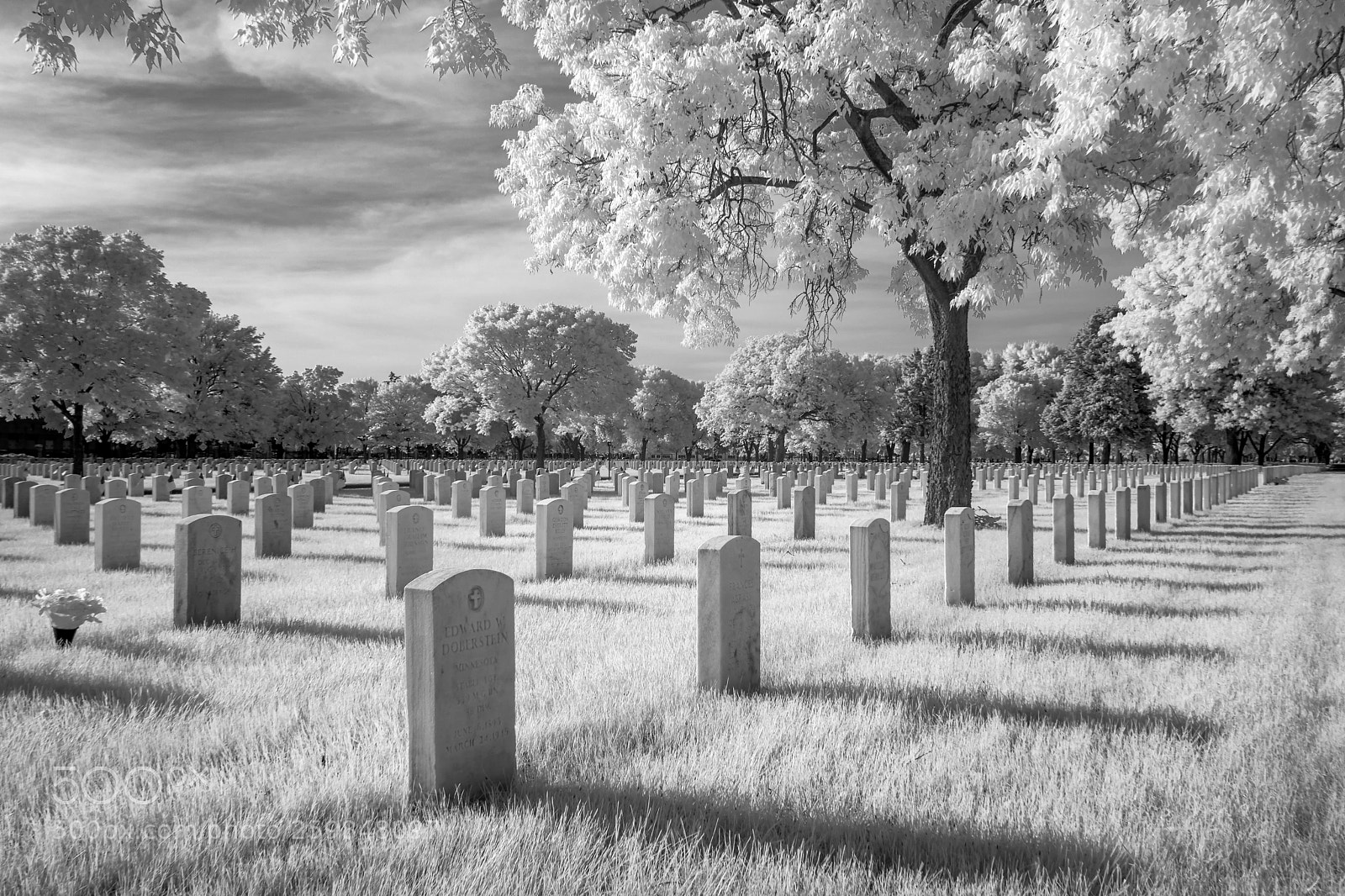 Sony a6000 sample photo. Fort snelling national cemetery photography