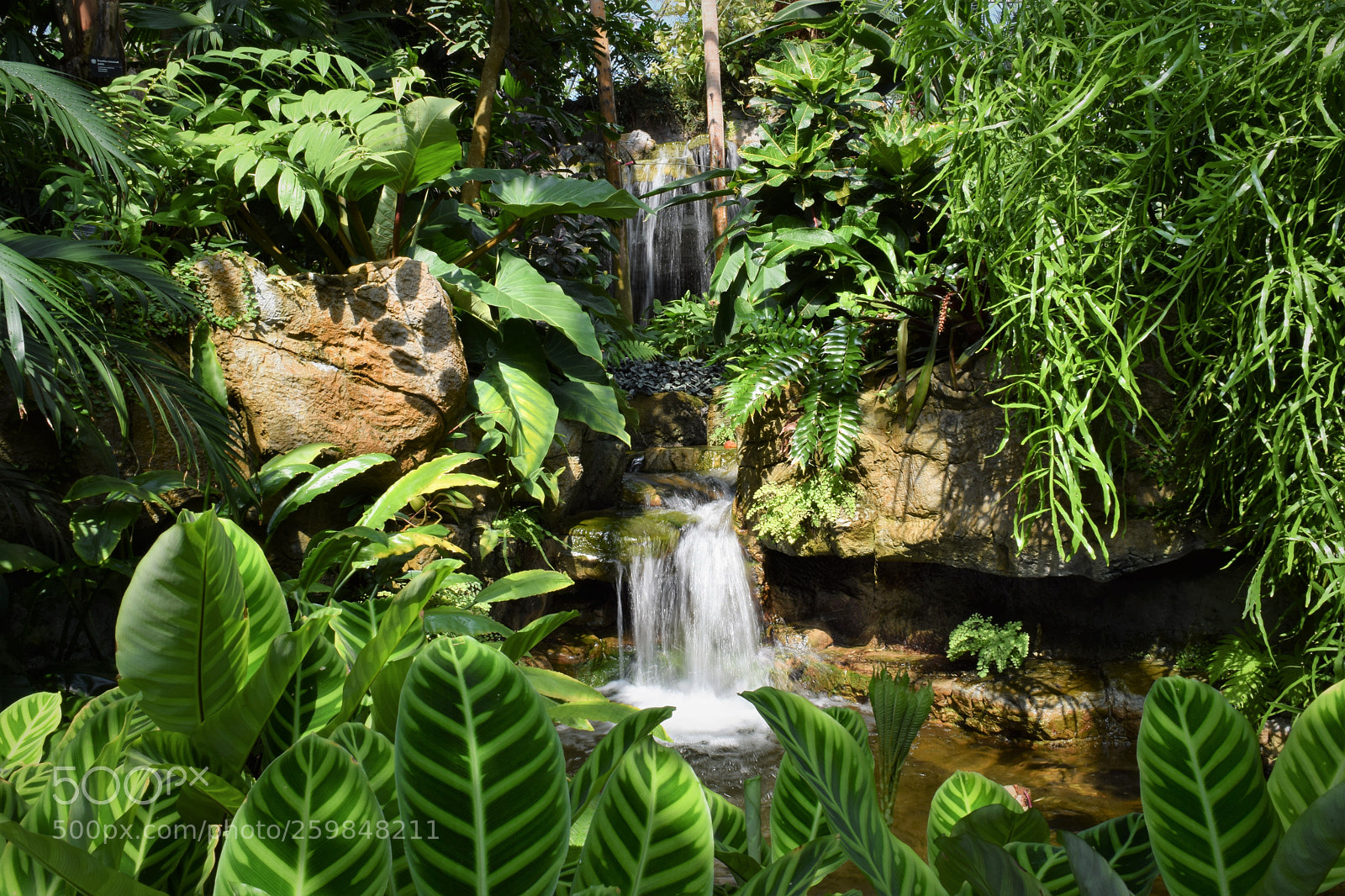 Nikon D3300 sample photo. A life in green photography
