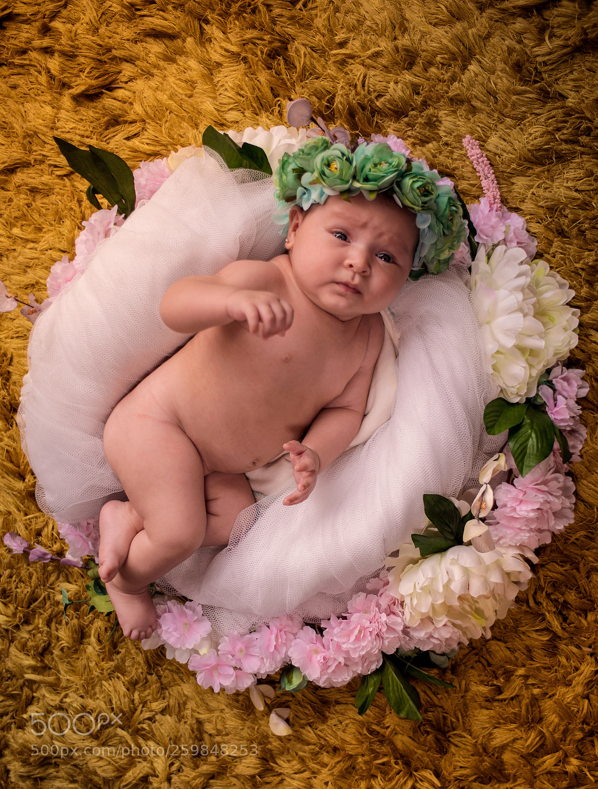 Nikon D610 sample photo. Zion camila photography