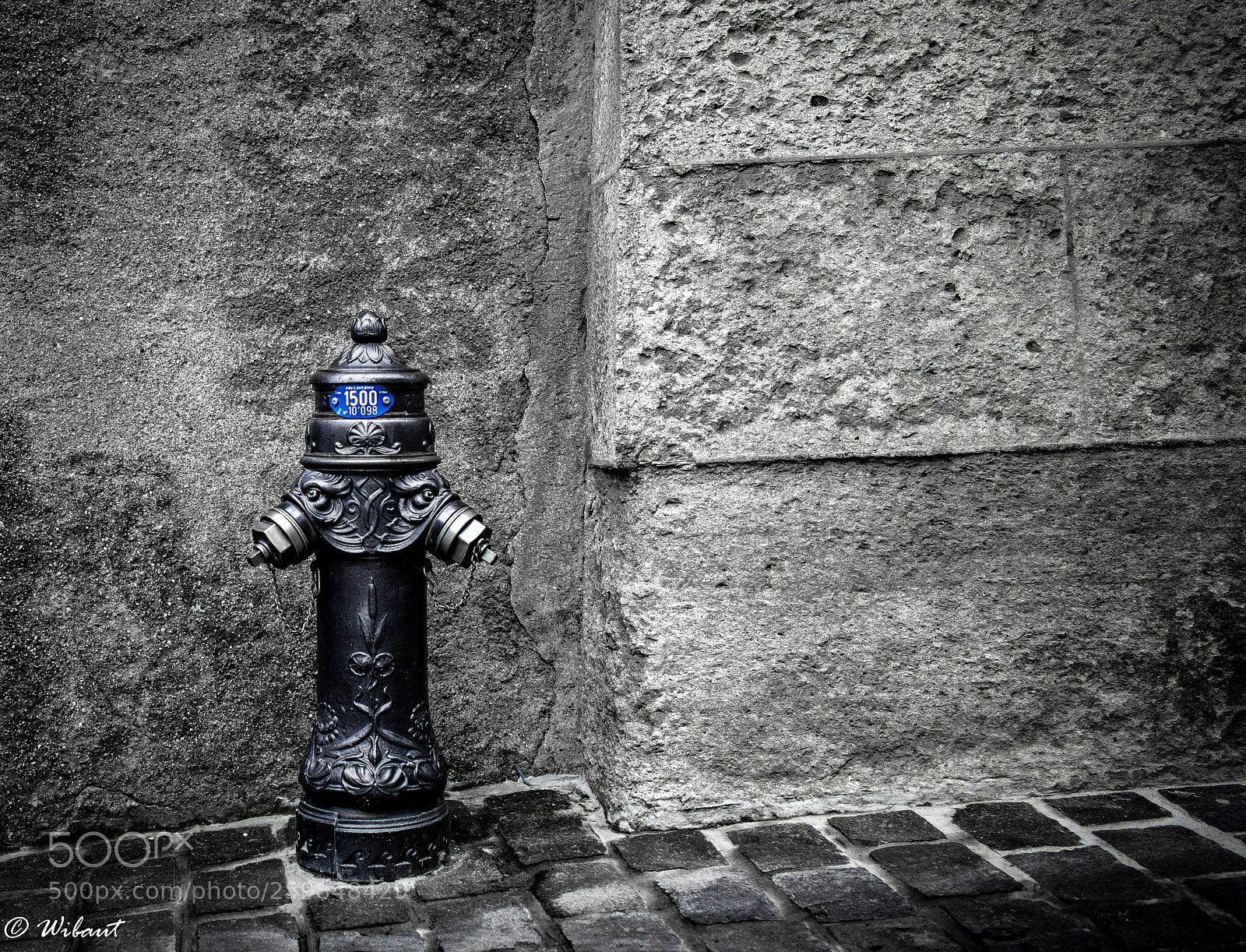 Leica M (Typ 240) sample photo. Proud little fire hydrant photography