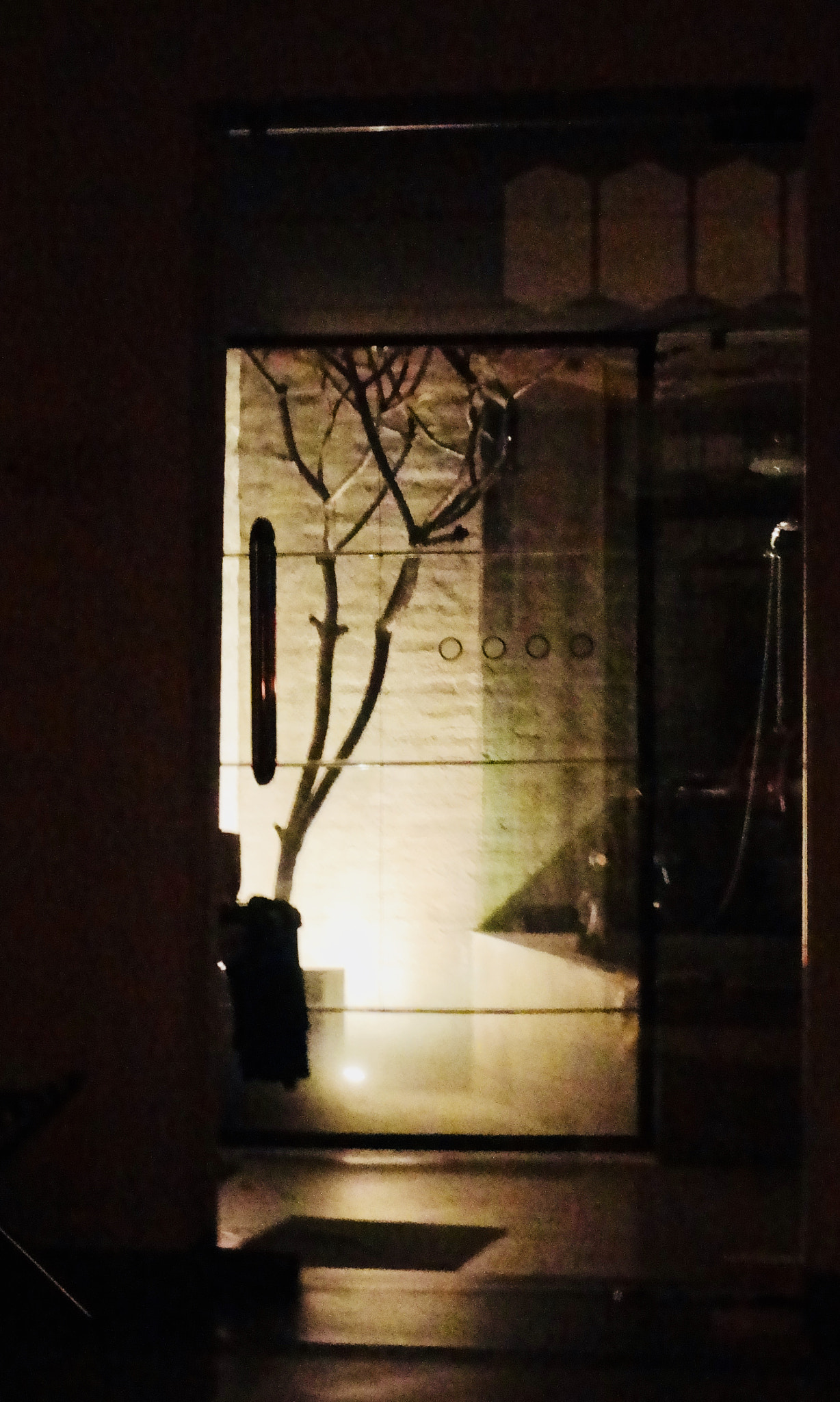 Sony Cyber-shot DSC-W570 sample photo. Illuminated tree photography