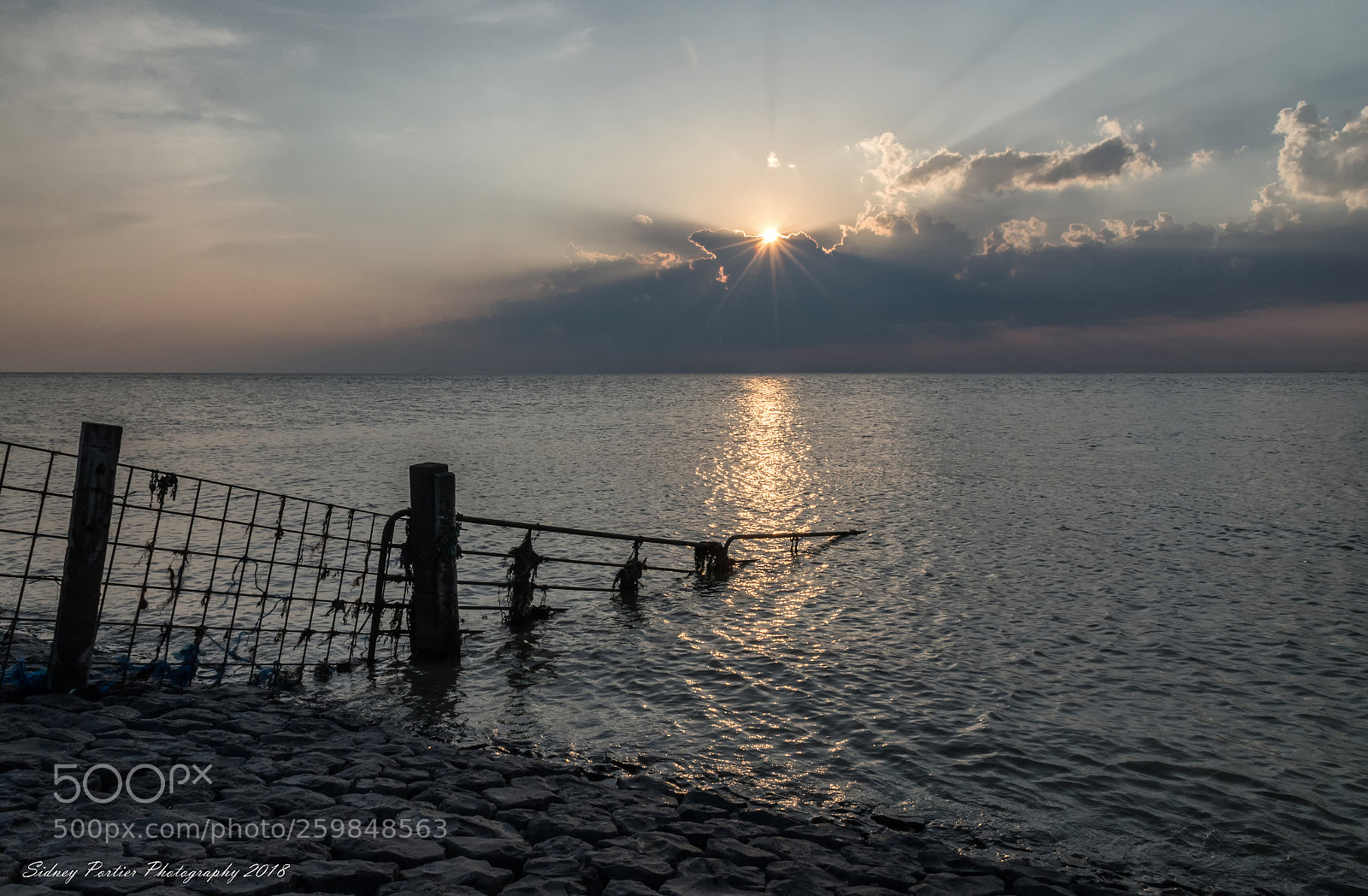 Nikon D600 sample photo. Sunset photography