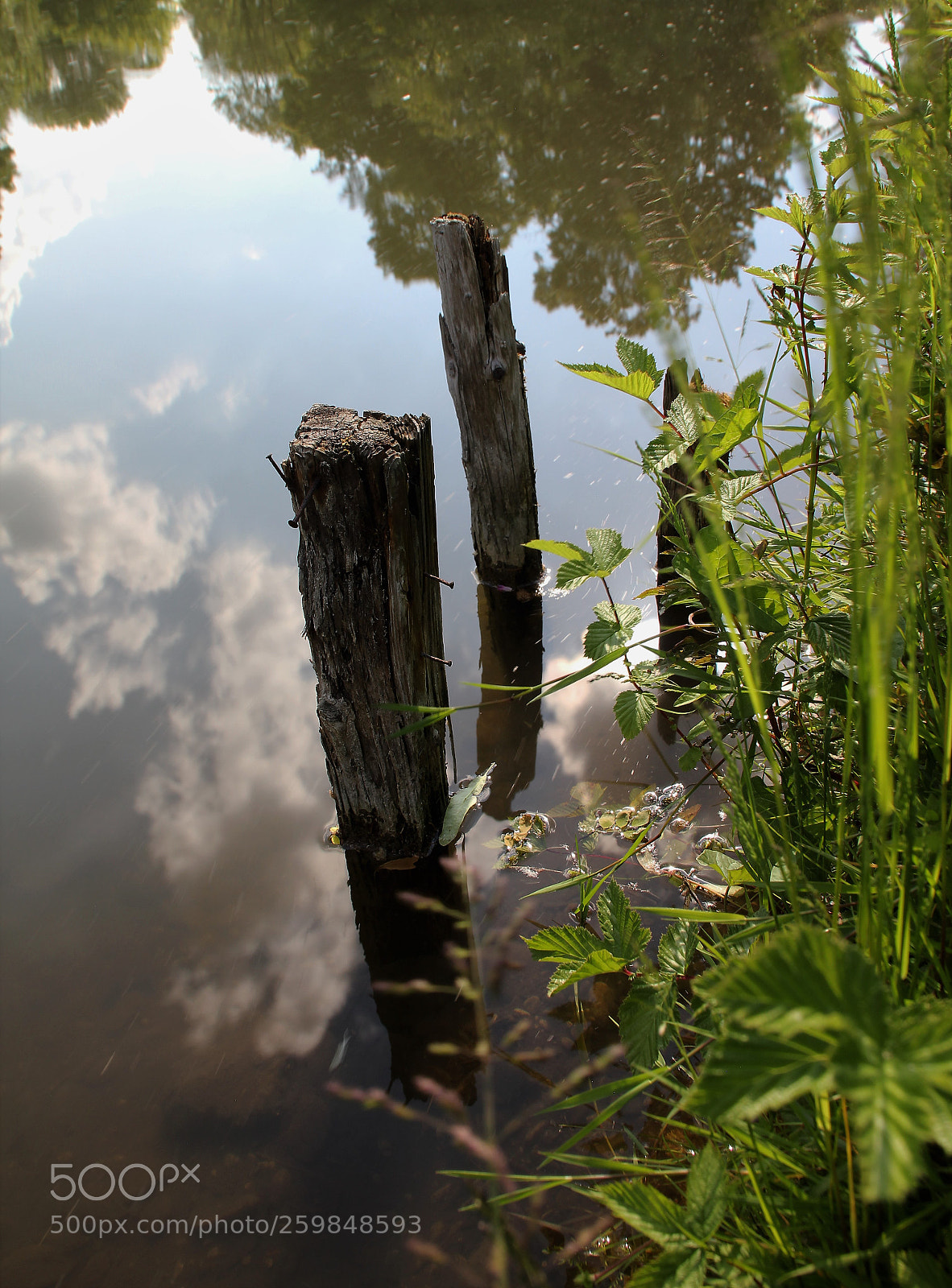 Canon EOS 600D (Rebel EOS T3i / EOS Kiss X5) sample photo. Cloudy stream photography