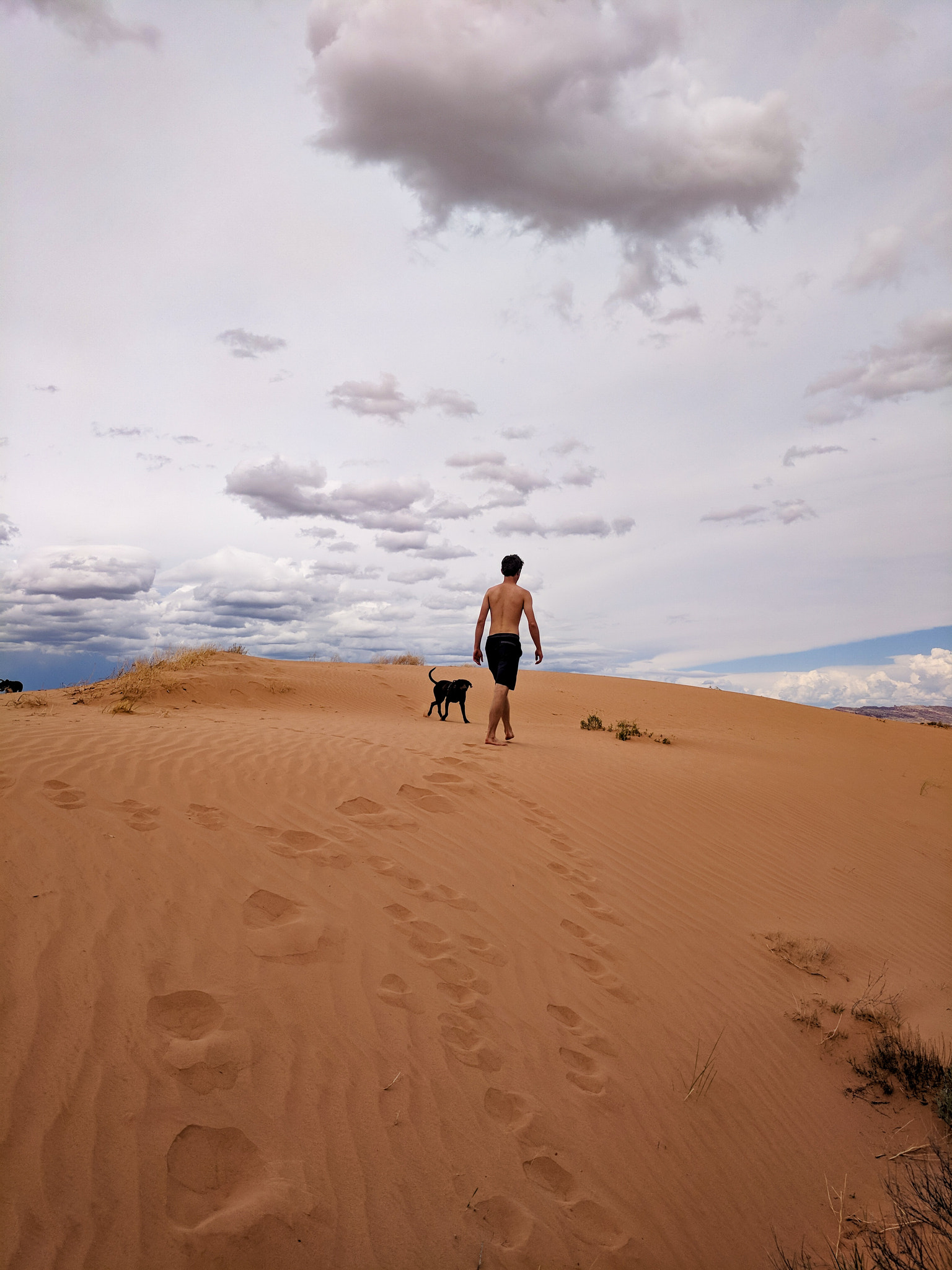 Google Pixel XL sample photo. Sand man photography