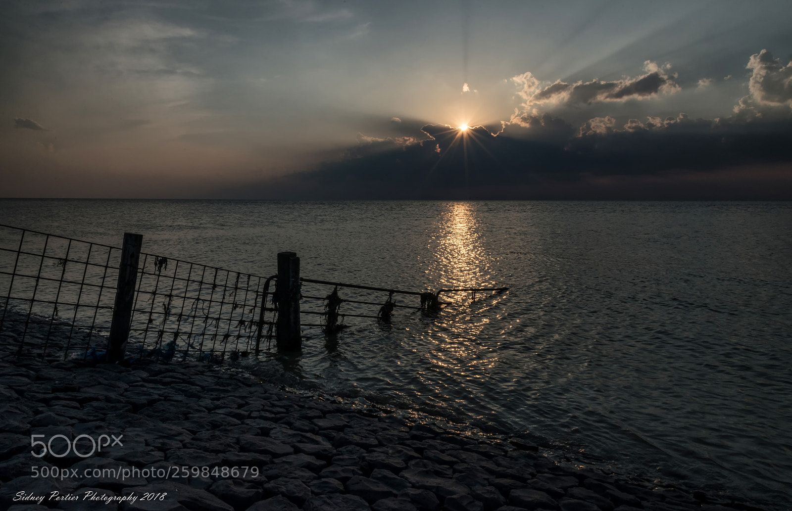 Nikon D600 sample photo. Sunset photography
