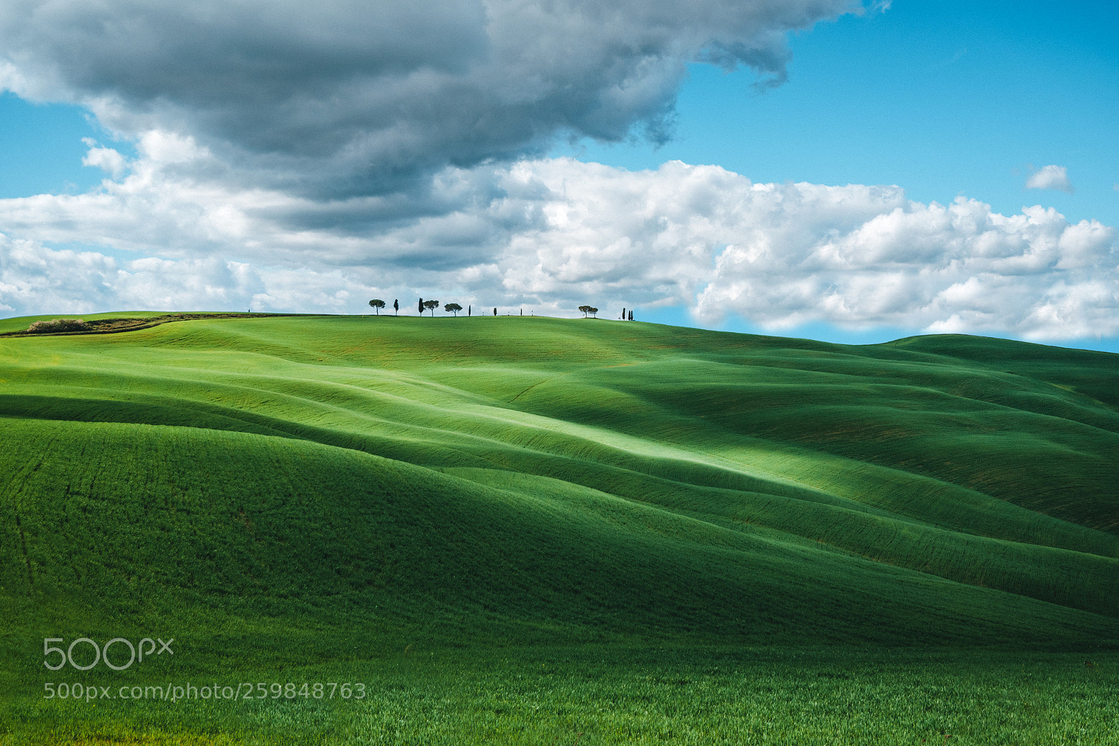 Nikon D750 sample photo. Tuscany photography
