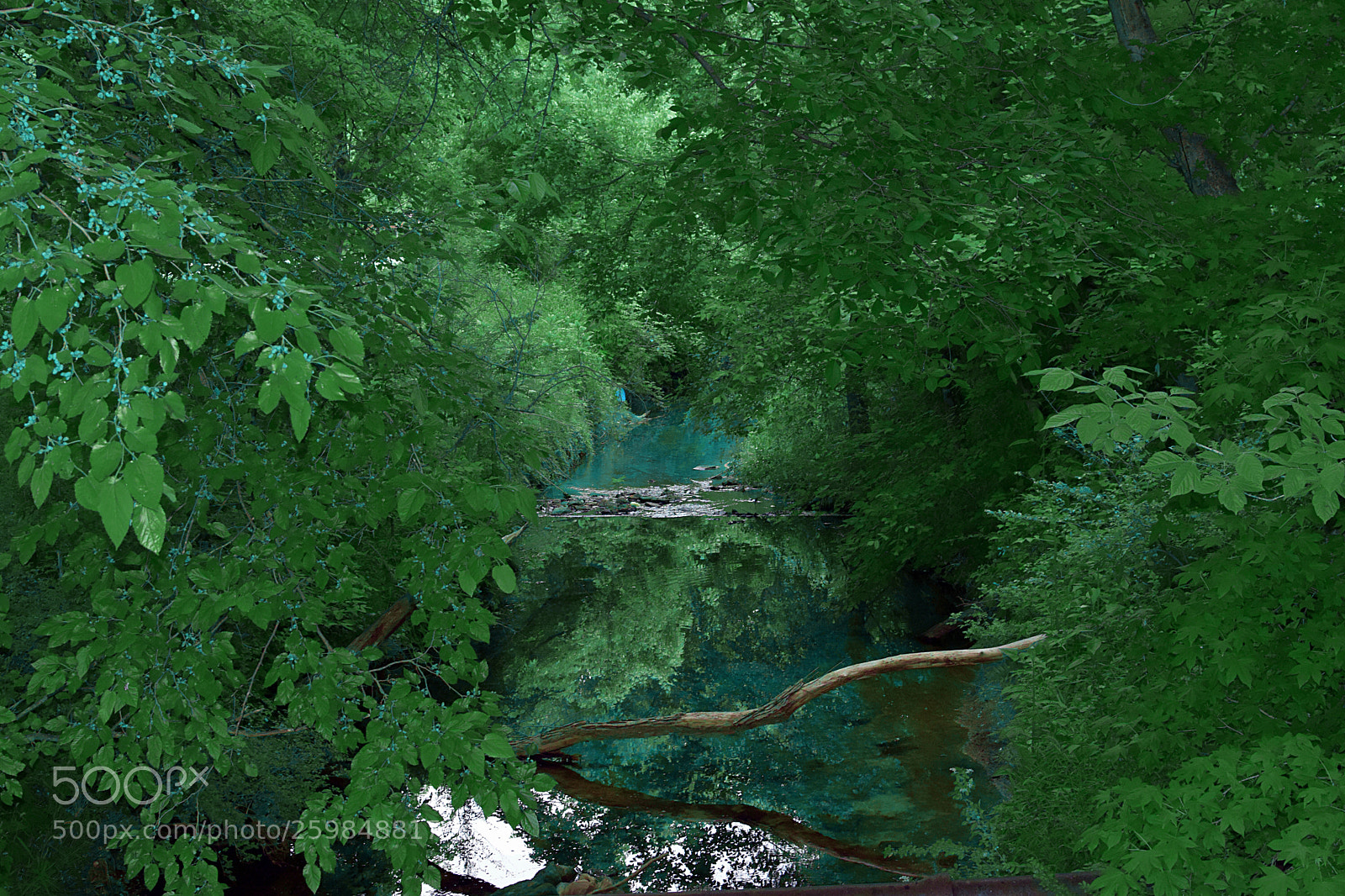 Nikon D5300 sample photo. Blue creek  photography