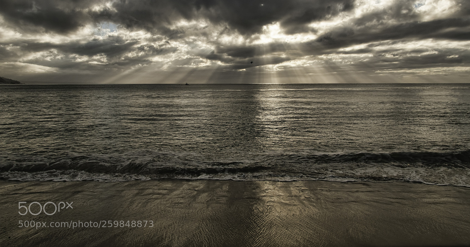 Nikon D300 sample photo. Malibu light photography