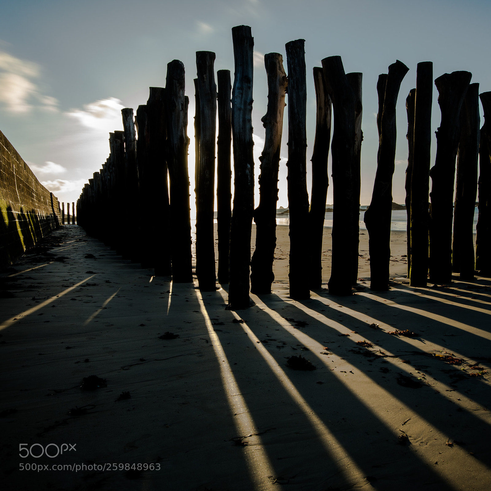 Canon EOS 5D Mark IV sample photo. Shadow photography