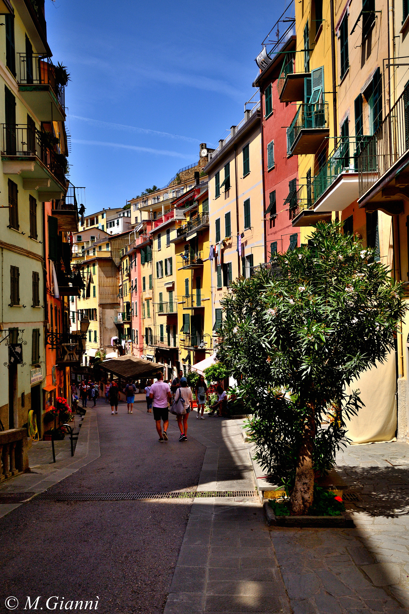 Nikon D3100 sample photo. Street of riomaggiore photography