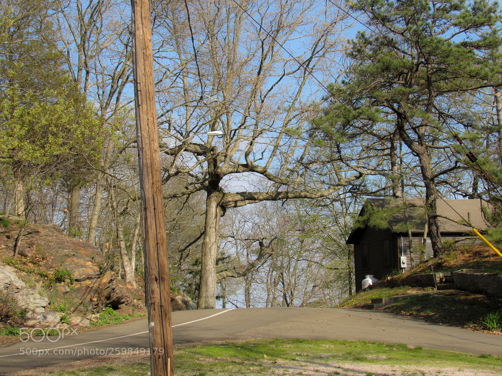 Canon PowerShot SX530 HS sample photo. Img photography