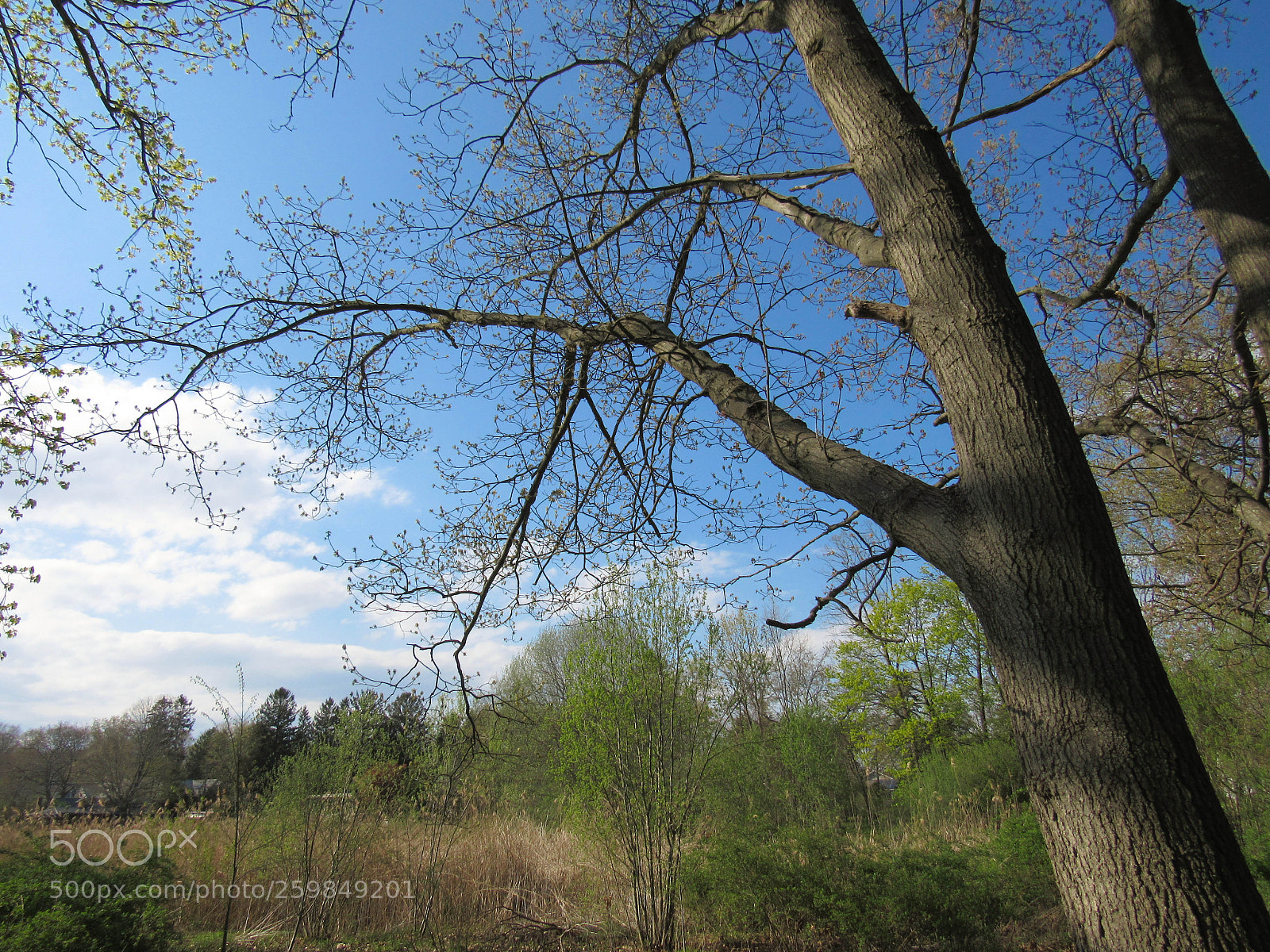 Canon PowerShot SX530 HS sample photo. Img photography