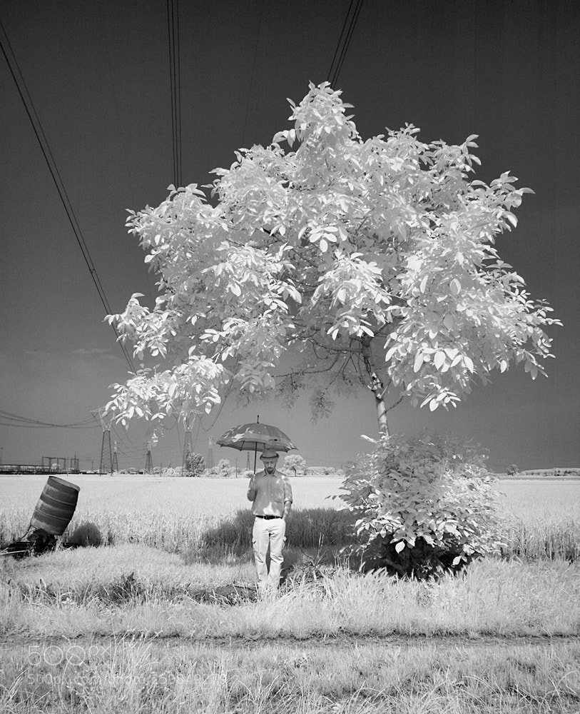 Nikon D70s sample photo. Be prepared (infrared) photography