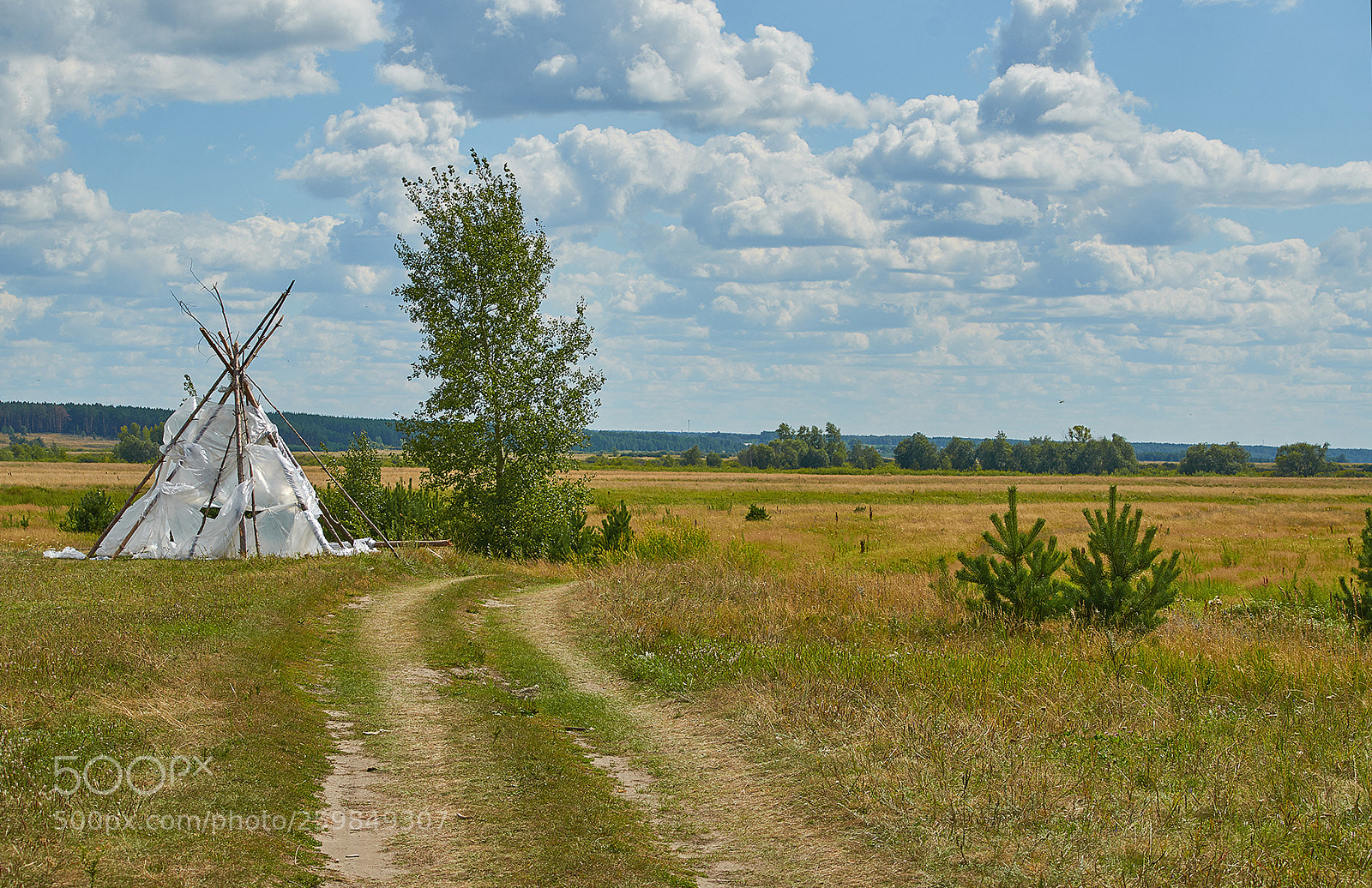 Nikon D7000 sample photo. летний вигвам photography