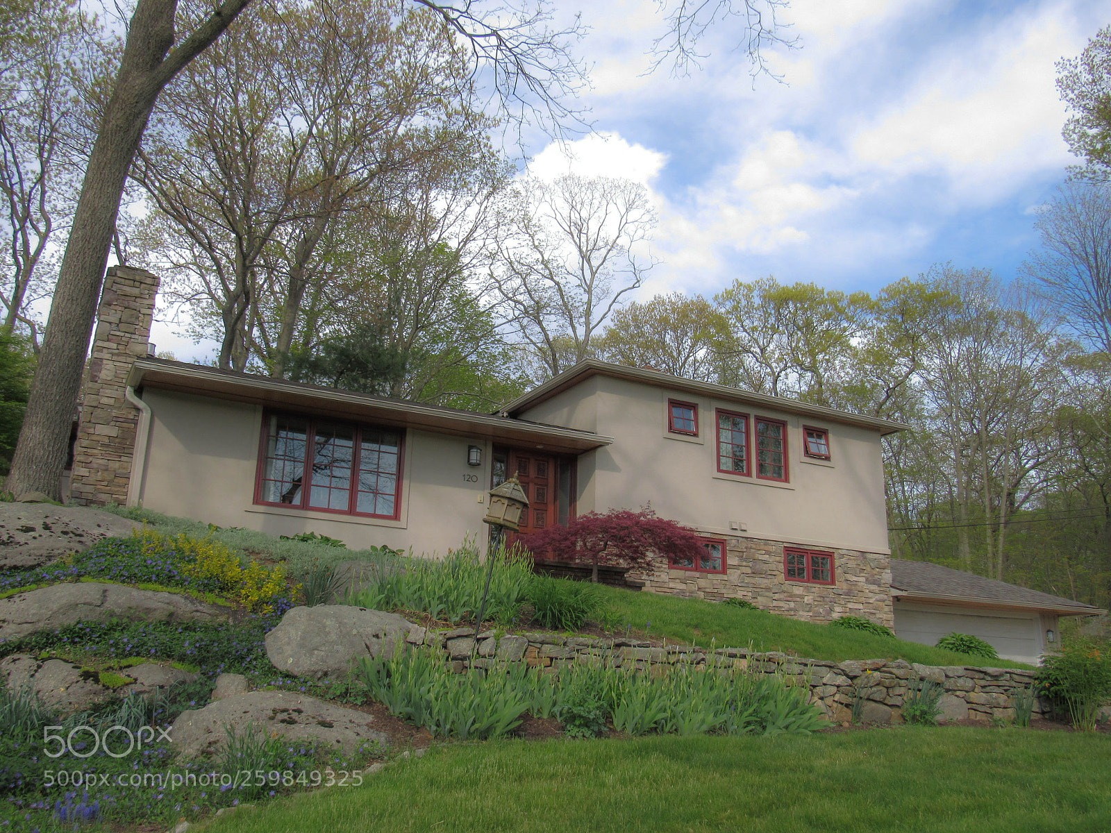 Canon PowerShot SX530 HS sample photo. Img photography