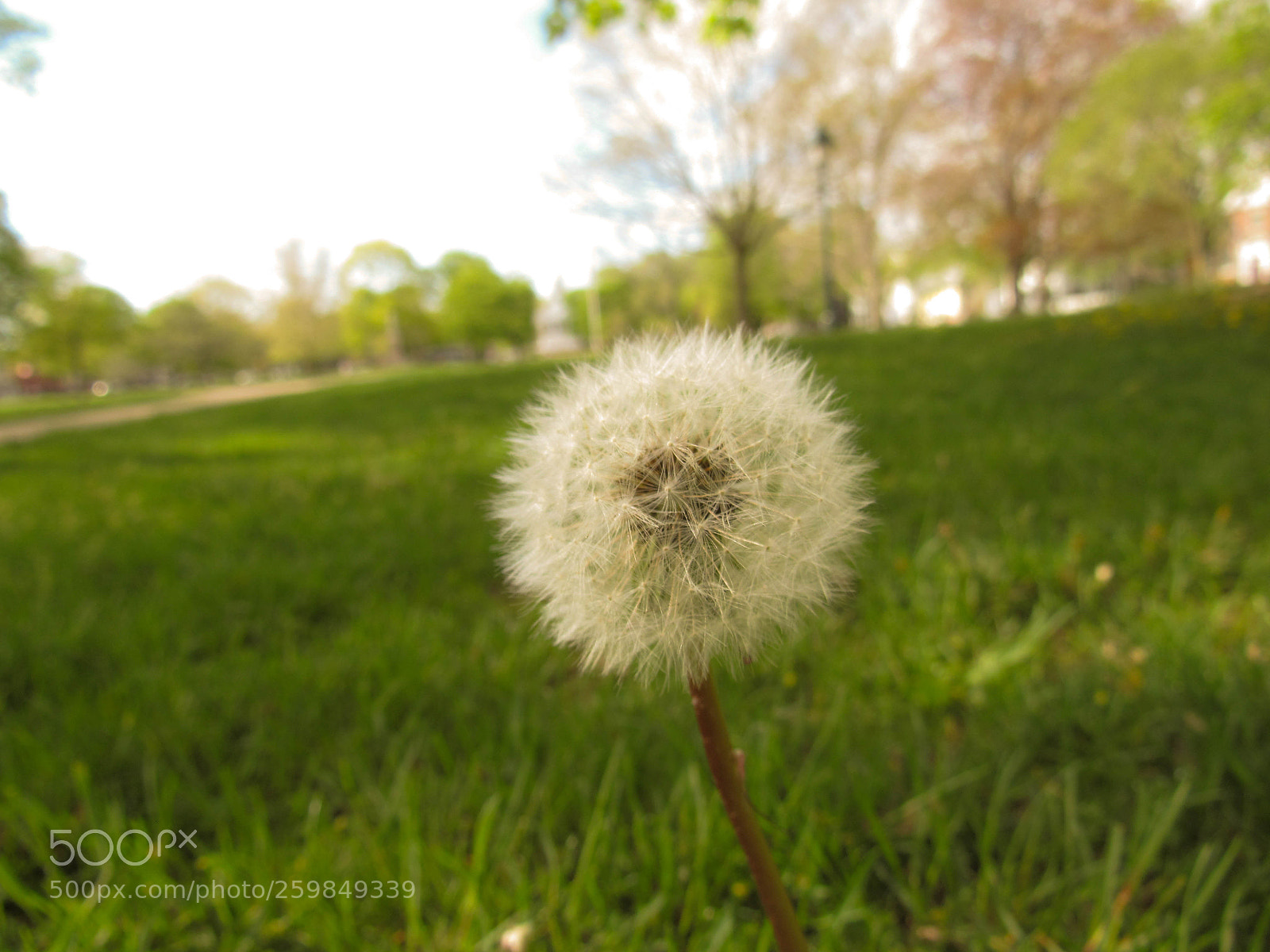 Canon PowerShot SX530 HS sample photo. Img photography