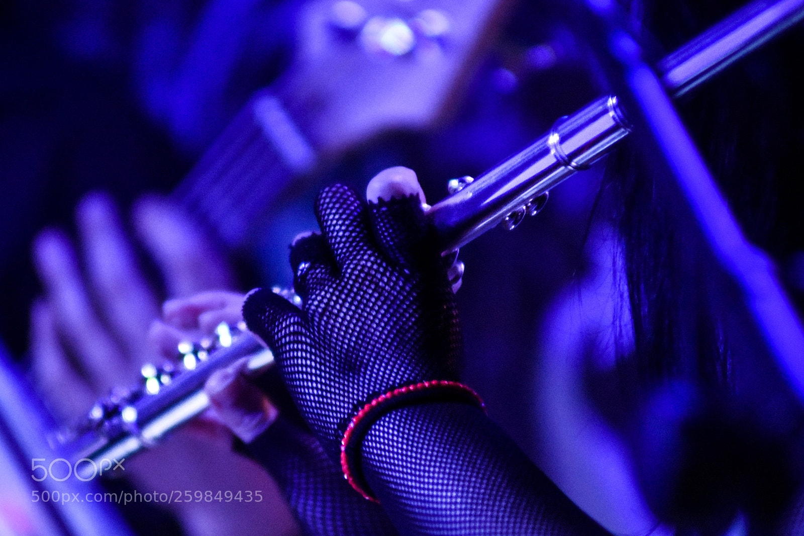 Nikon D7200 sample photo. # photography