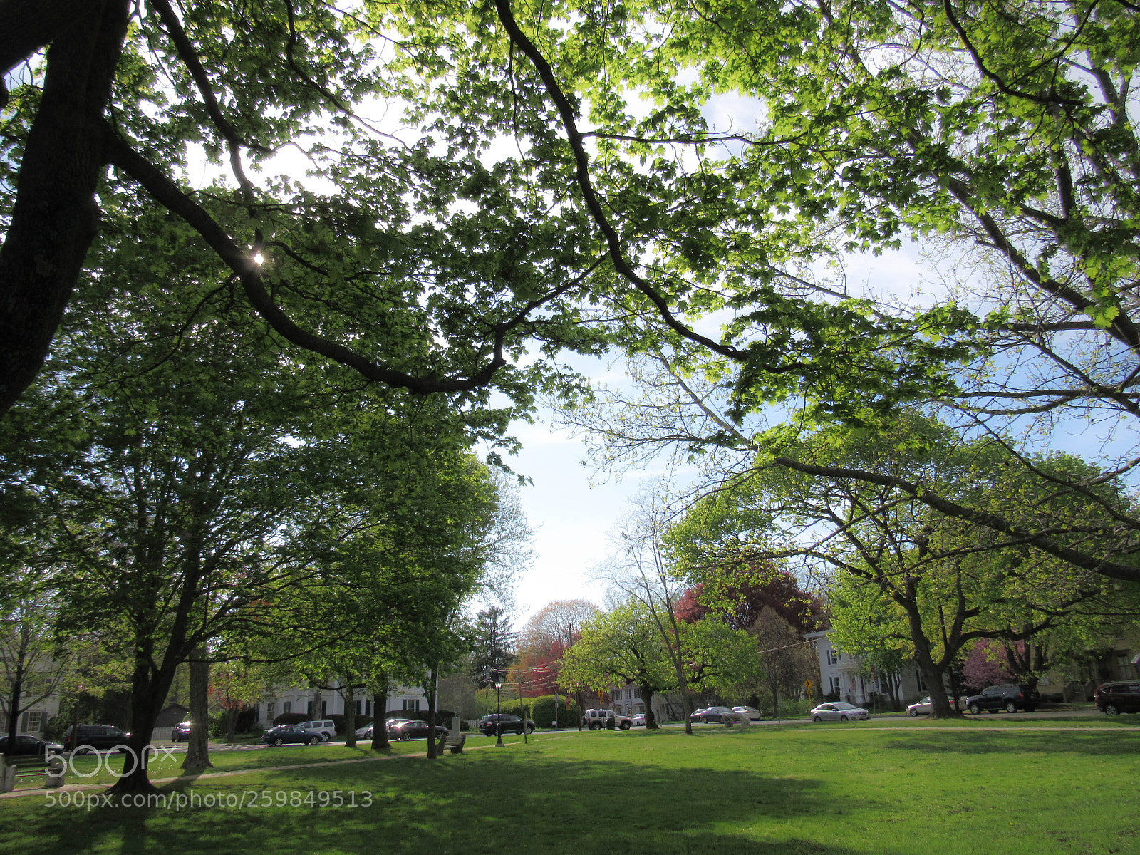 Canon PowerShot SX530 HS sample photo. Img photography
