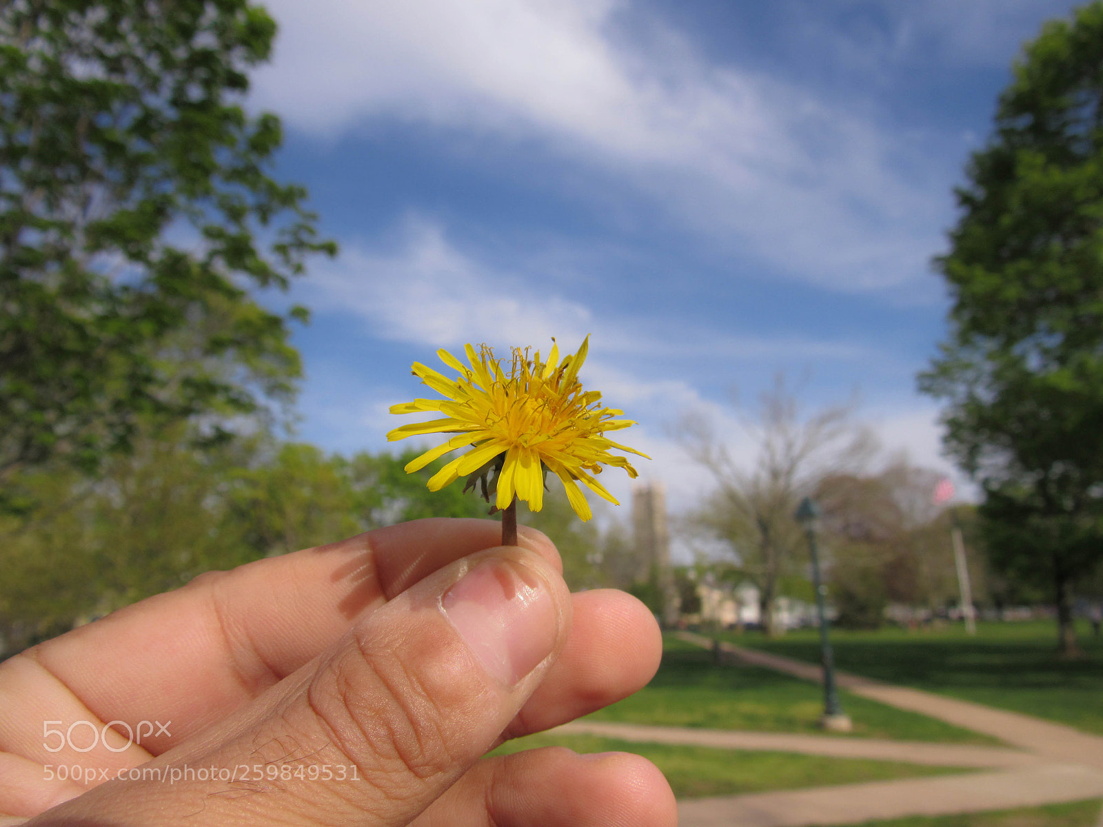 Canon PowerShot SX530 HS sample photo. Img photography
