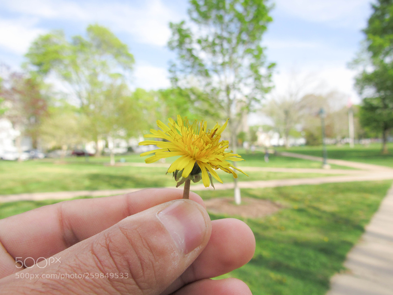 Canon PowerShot SX530 HS sample photo. Img photography