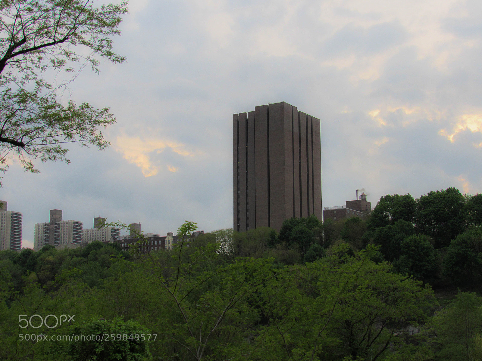Canon PowerShot SX530 HS sample photo. Img photography