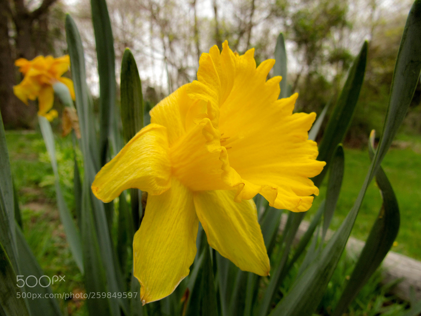 Canon PowerShot SX530 HS sample photo. Img photography