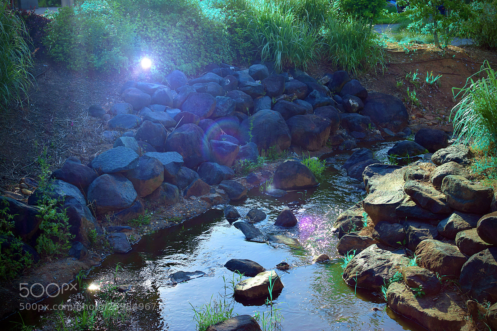 Nikon D5300 sample photo. Follow the light  photography