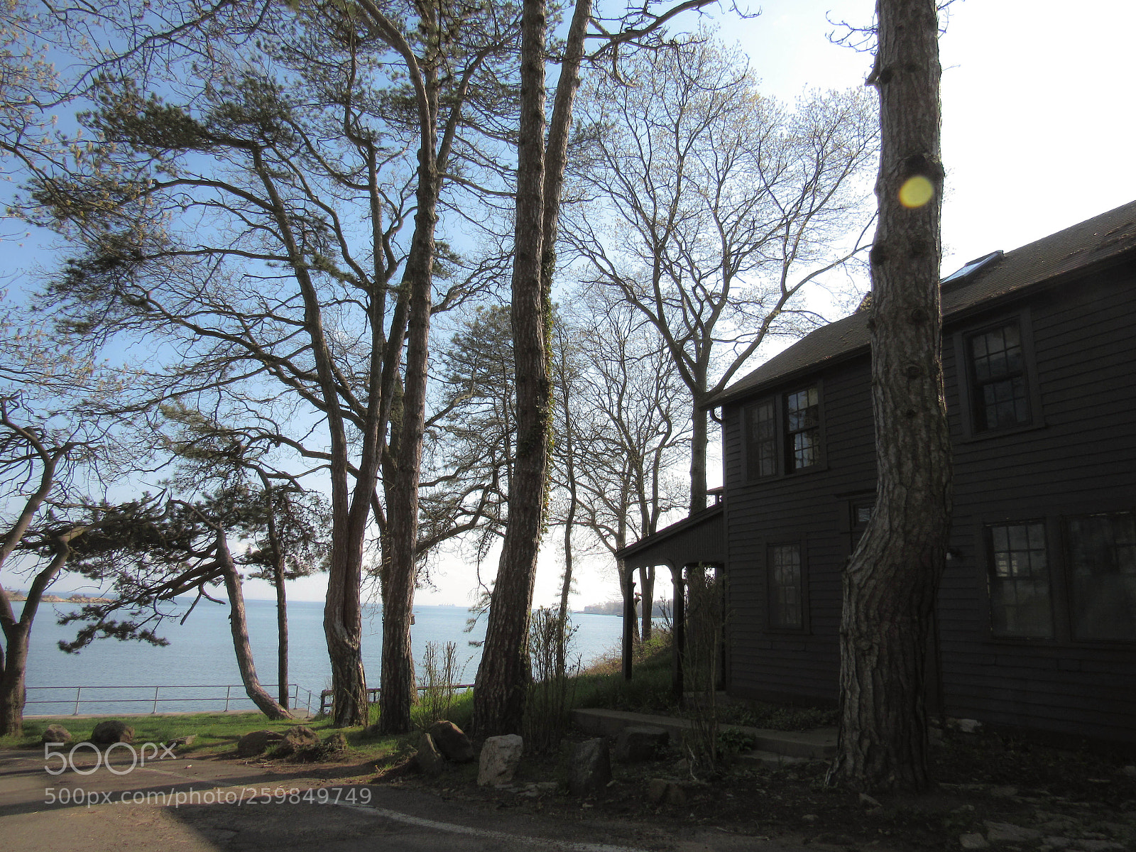 Canon PowerShot SX530 HS sample photo. Img photography