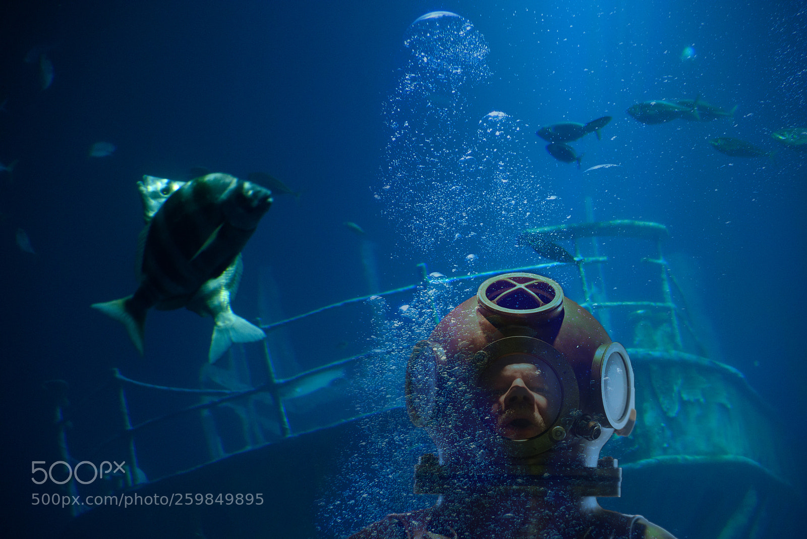 Nikon D750 sample photo. Old fashioned diver photography