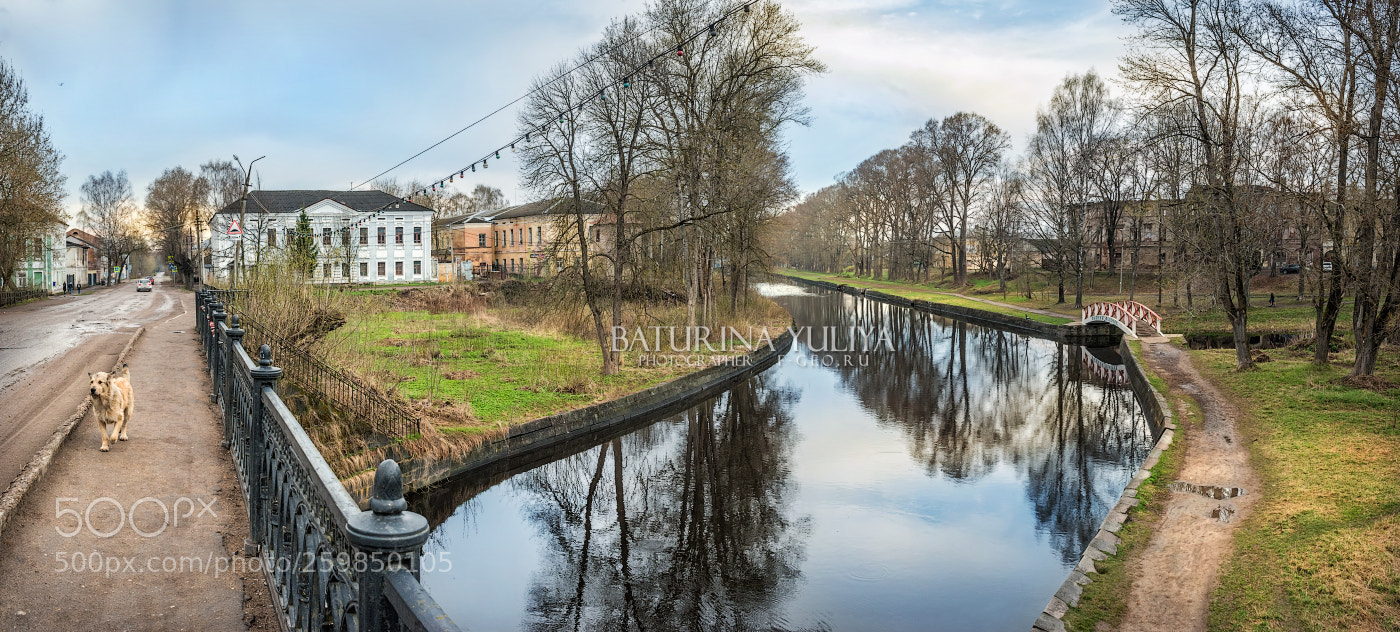 Nikon D800 sample photo. View of the town photography