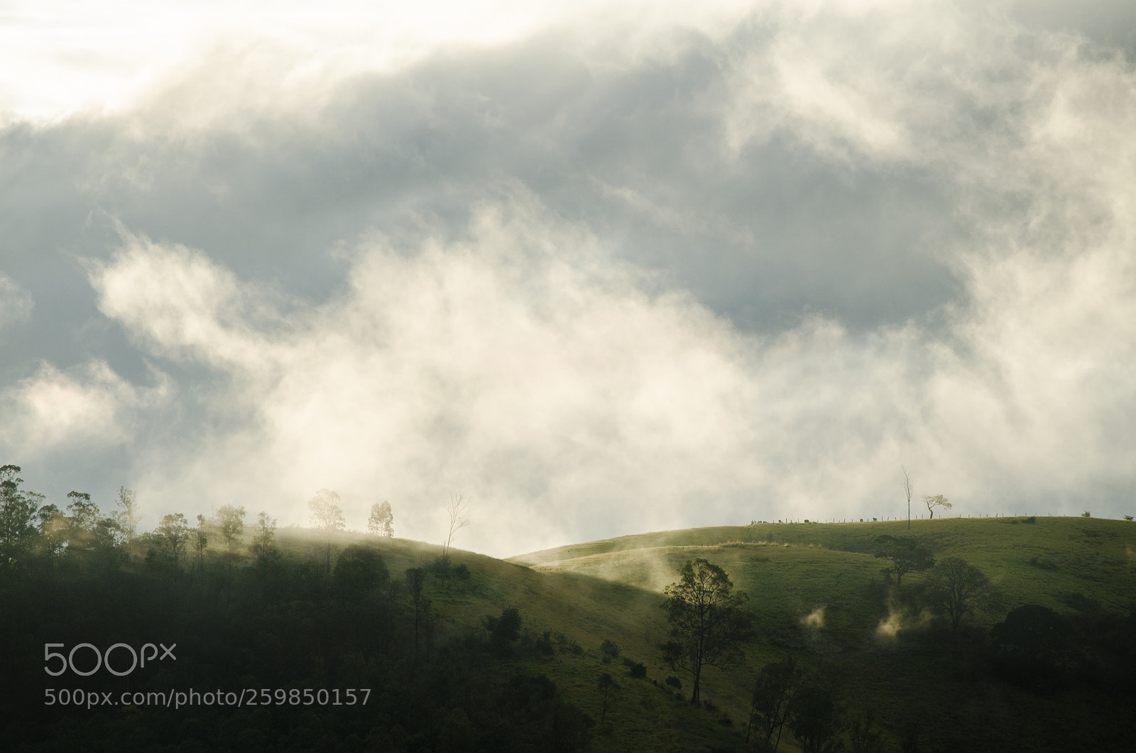 Nikon D5100 sample photo. Brume itajubense photography