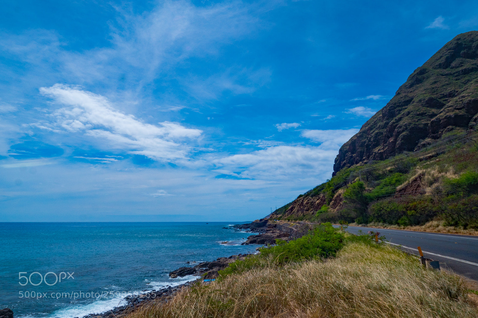 Olympus OM-D E-M5 II sample photo. On the roadside photography