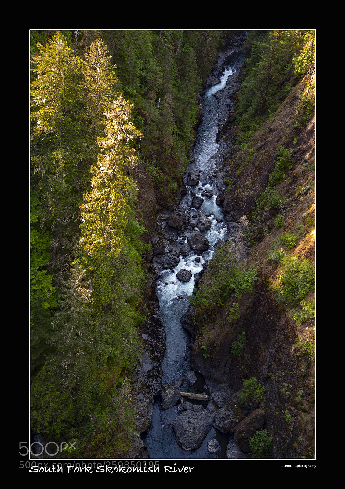 Nikon D700 sample photo. South fork skokomish river photography
