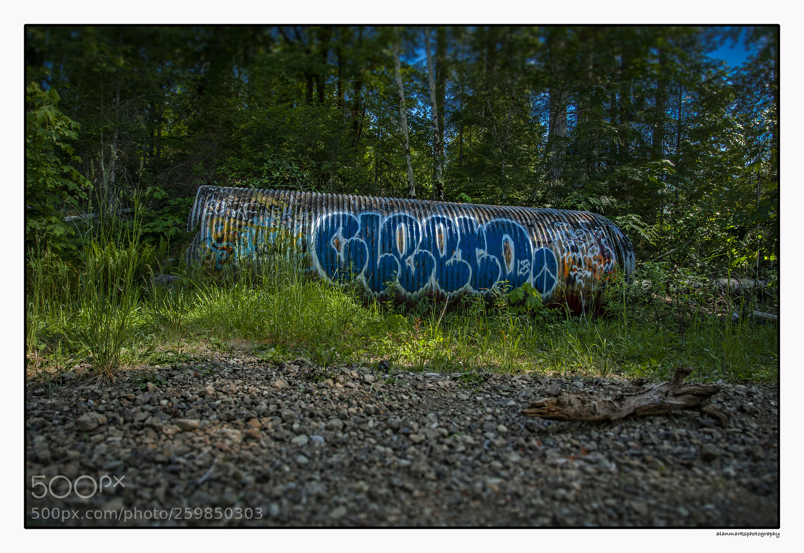 Nikon D700 sample photo. Covert color photography