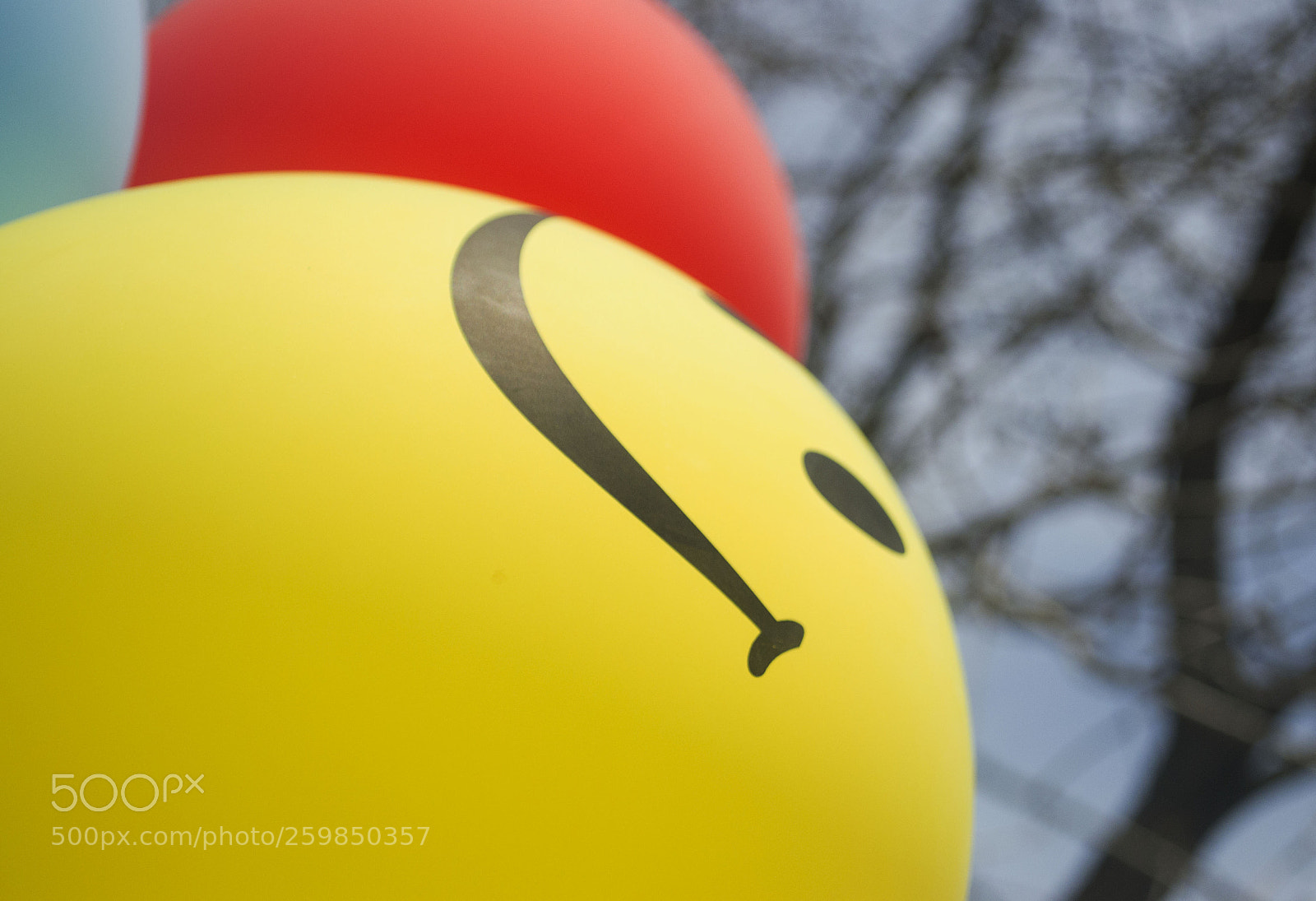 Nikon D3100 sample photo. My choice photography