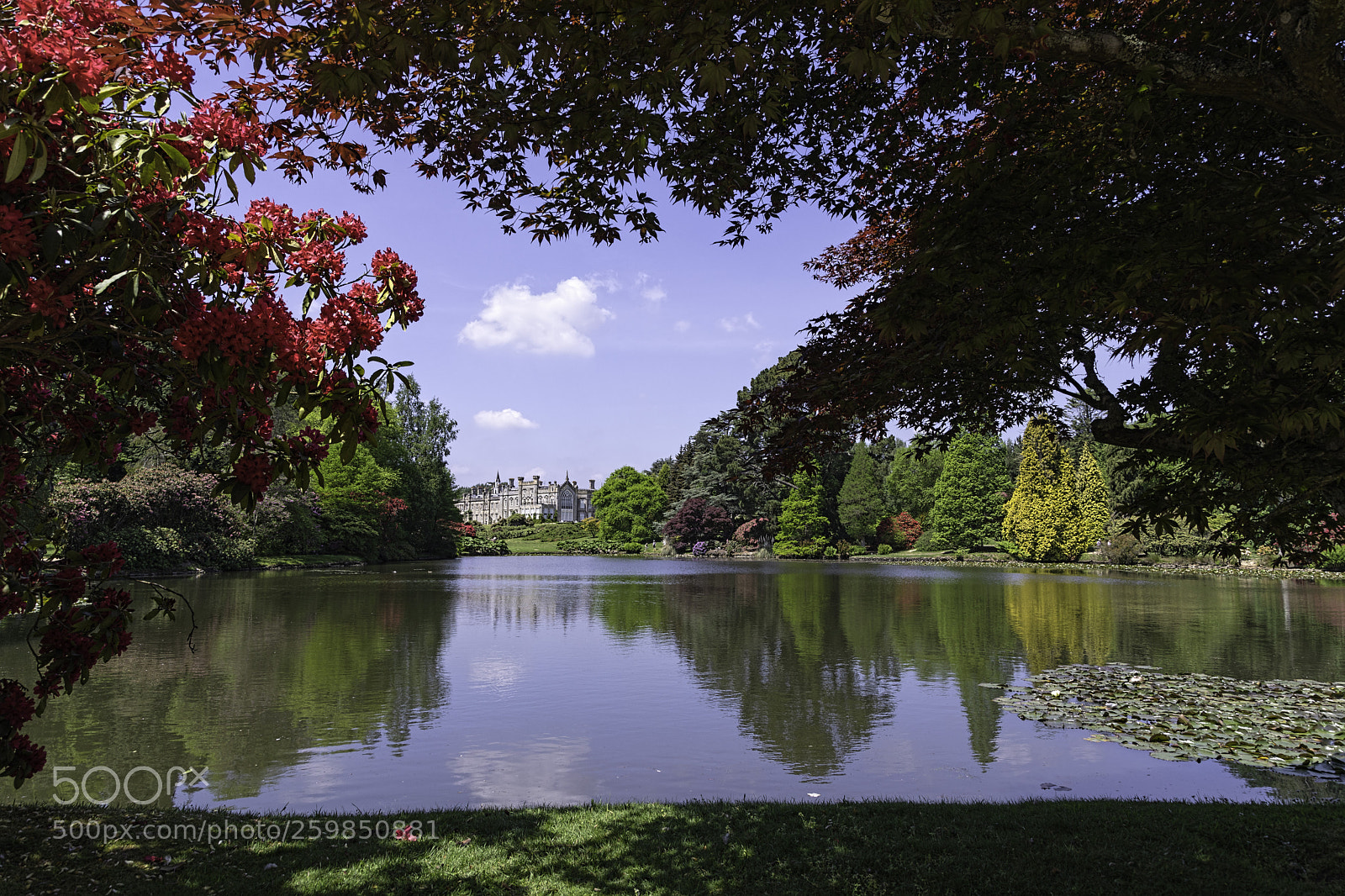 Canon EOS 5D Mark IV sample photo. Spring reflection photography
