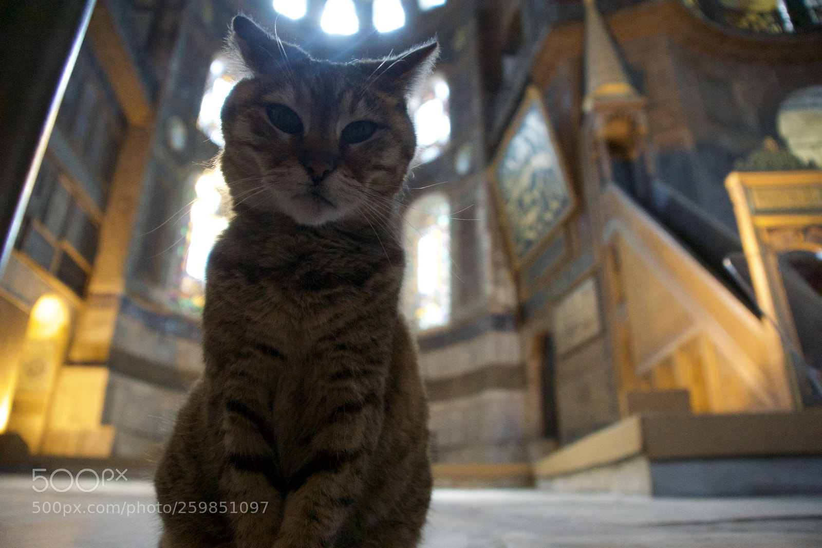 Sony ILCA-77M2 sample photo. Hagia sophia,istanbul photography