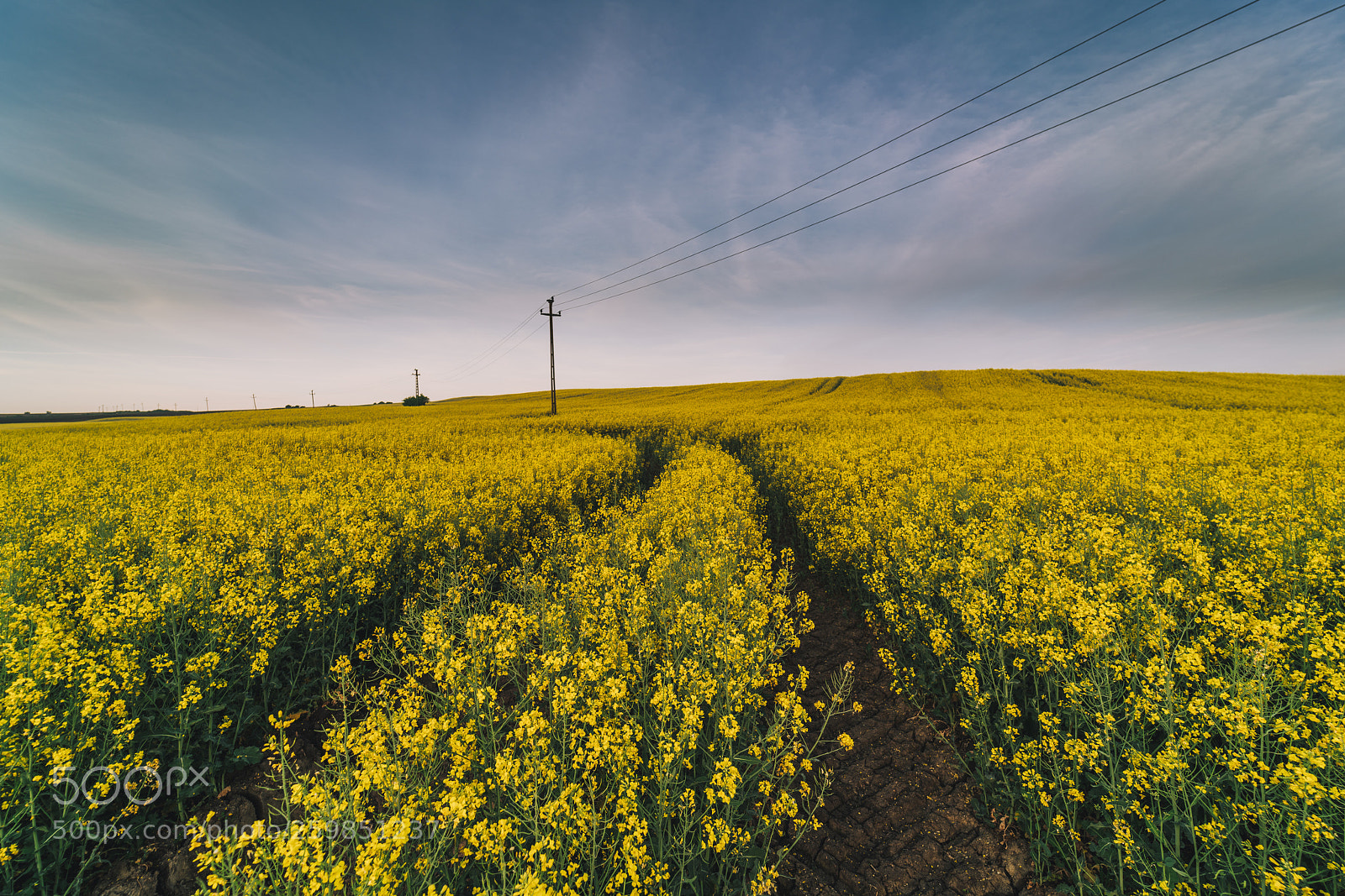 Sony a7R II sample photo. And it was all photography