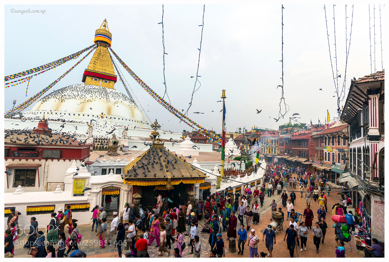 Nikon D600 sample photo. Morning prayer at bouddha photography