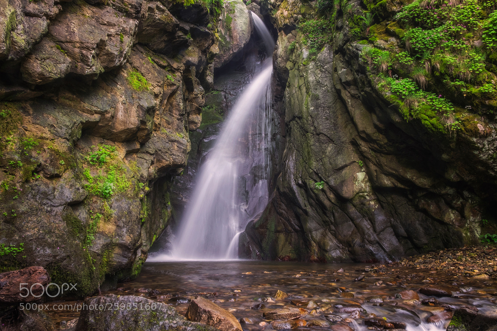 Fujifilm X-T1 sample photo. Rhodopes, bulgaria photography