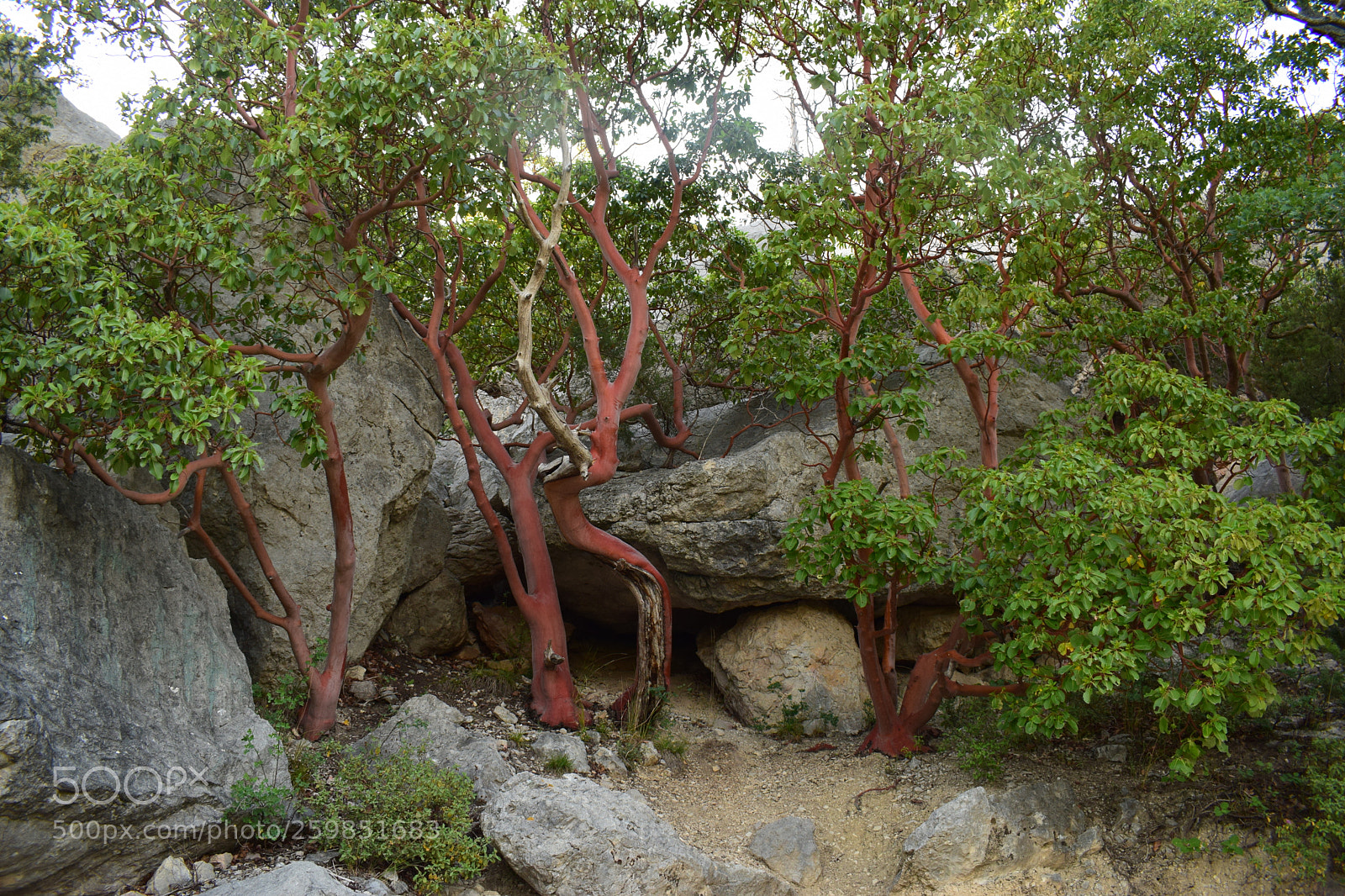 Nikon D5300 sample photo. Dsc photography