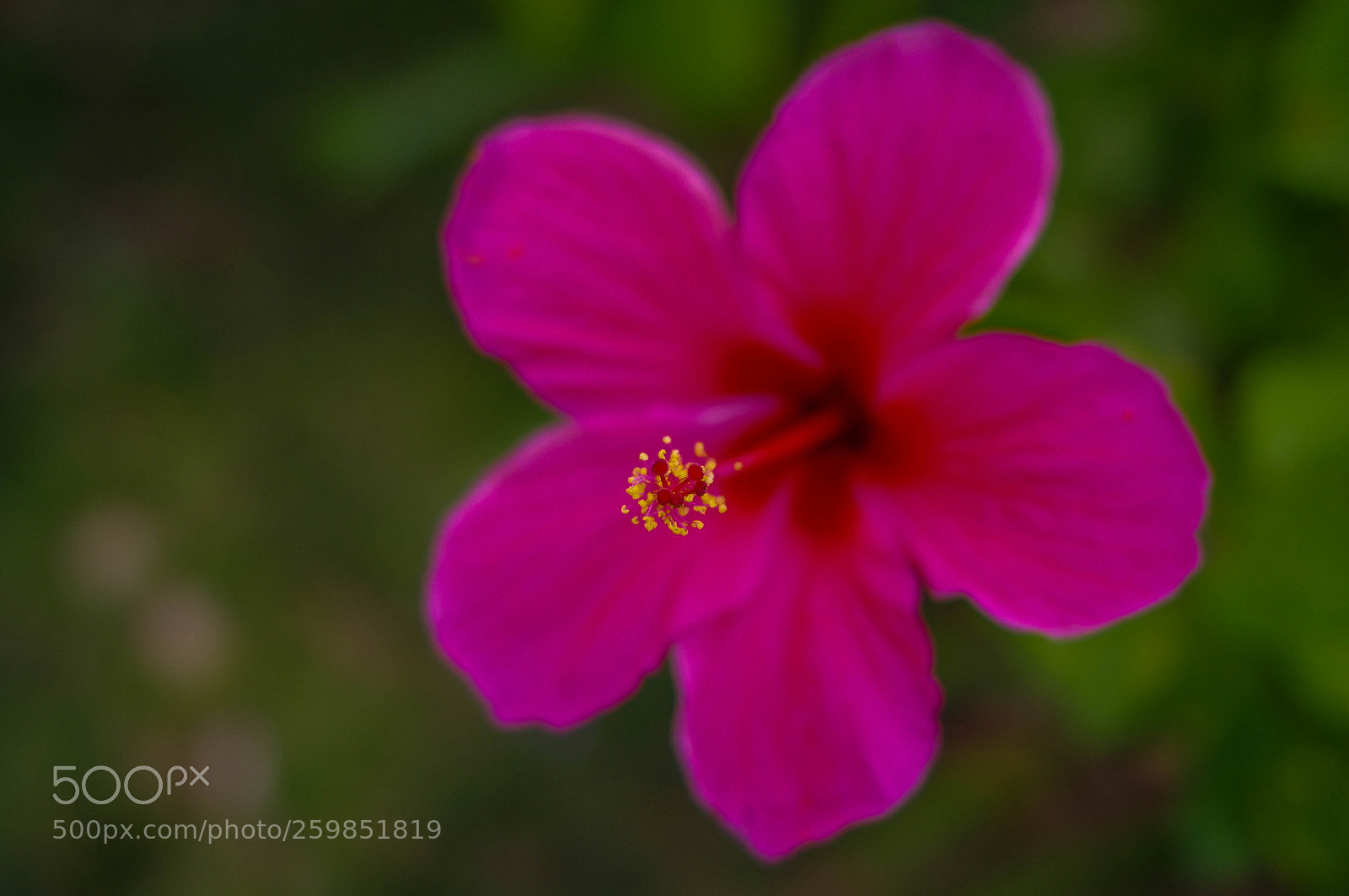 Pentax K-3 sample photo. Hong kong, lamma island photography