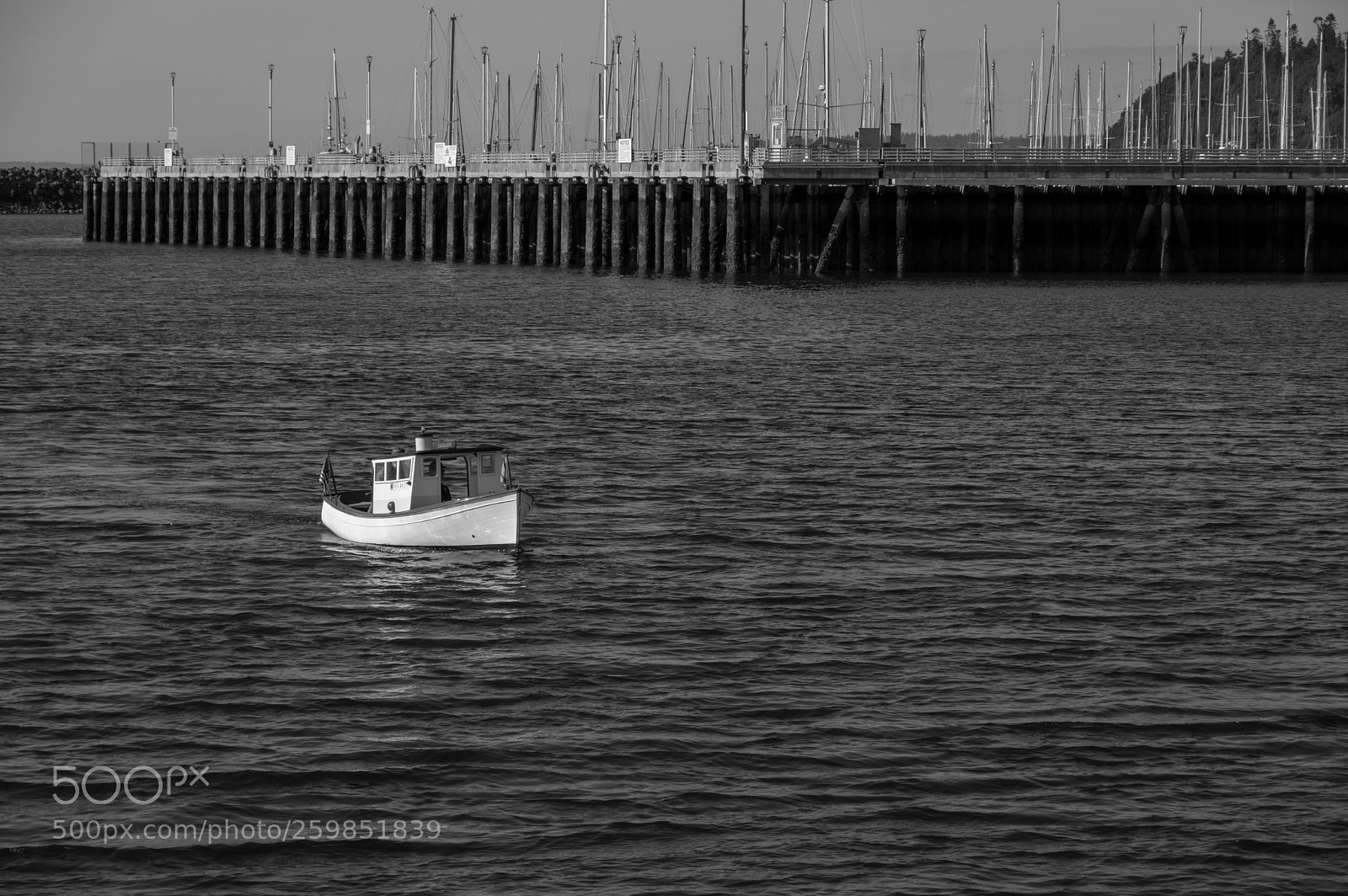 Pentax K-3 II sample photo. Seattle photography
