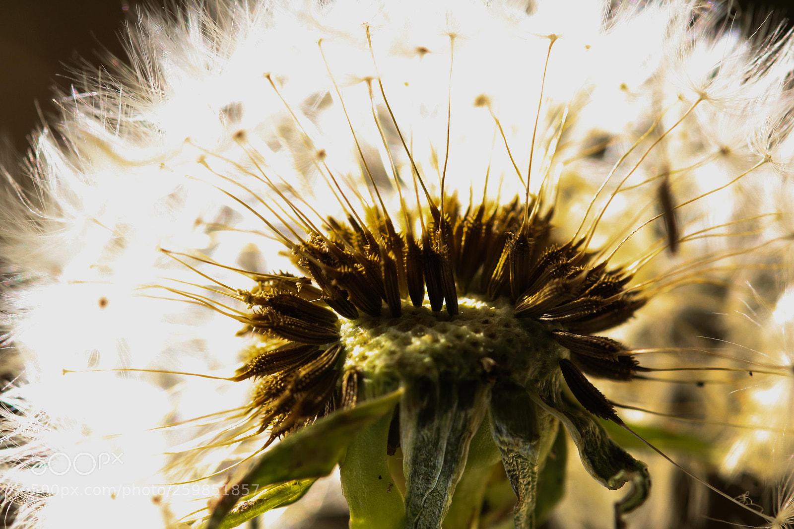 Canon EOS 750D (EOS Rebel T6i / EOS Kiss X8i) sample photo. Light is all around photography