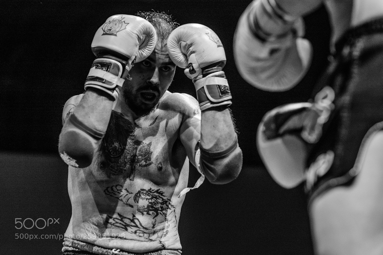 Nikon D7100 sample photo. Art of war photography